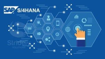 saphana-XEA5lnTWhT.jpg